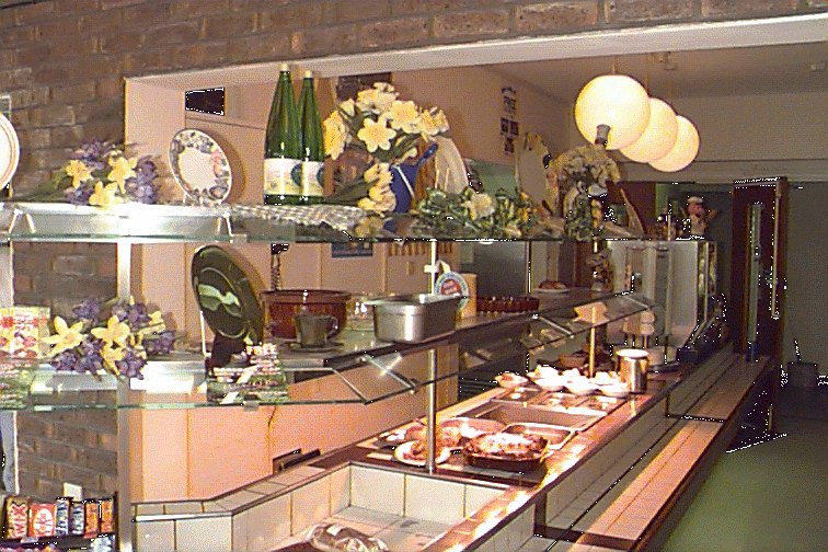 {short description of image}